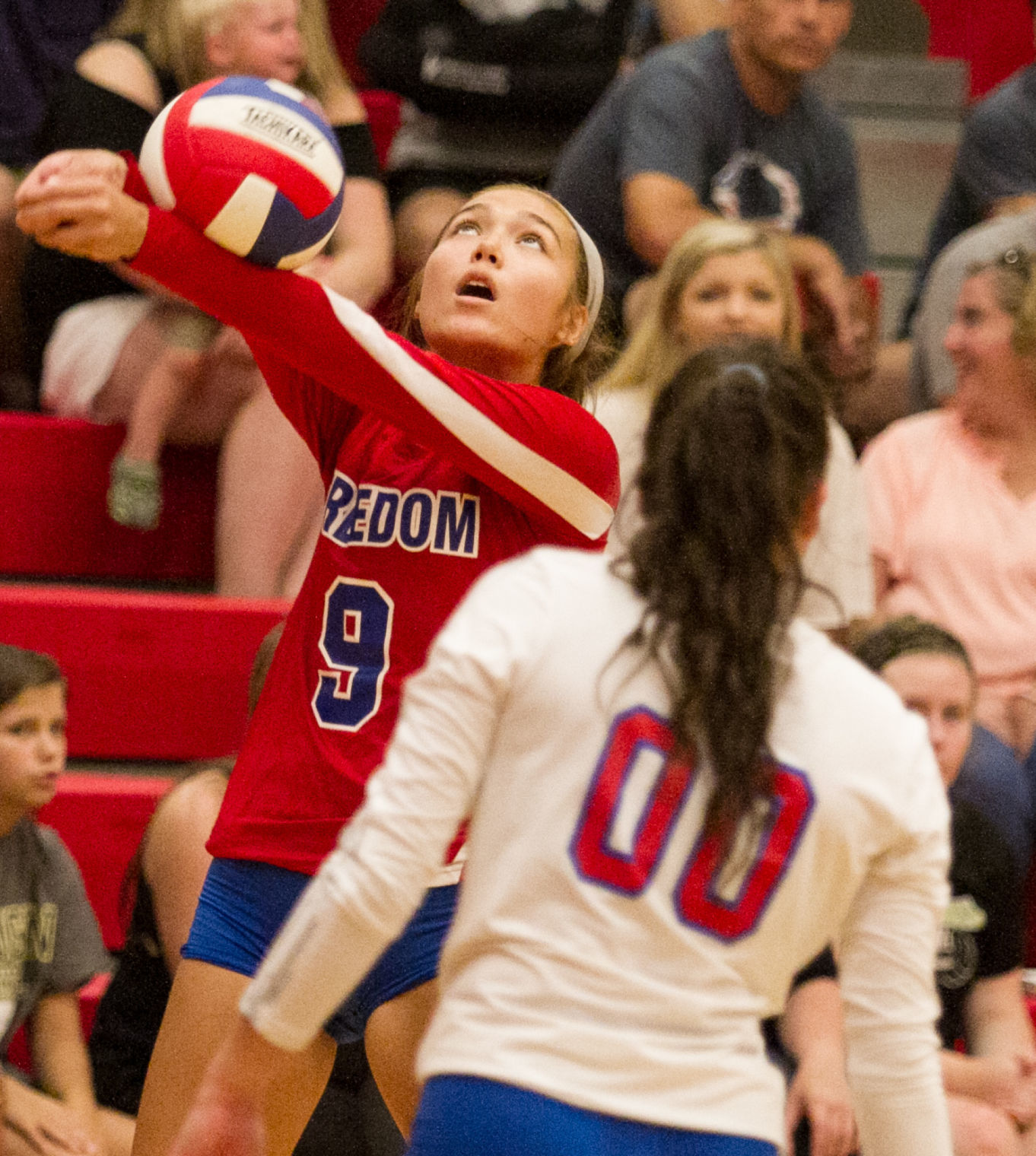 Vball 1.jpg